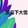 梦见下大雪满地很厚很白（梦见下大雪）