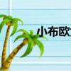 小布欧为什么不说话（小布欧）