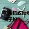 家用指纹锁哪个牌子好一点（家用指纹锁哪个牌子好）