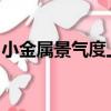 小金属景气度上行，产业链公司加快资源储备