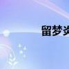 留梦炎后人在哪里（留梦炎）