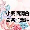 小鹏滴滴合作车型将于2025年上半年发布，命名“想往”
