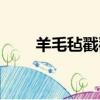 羊毛毡戳戳乐原理（羊毛毡戳戳乐）