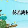 花若离枝是什么意思（花若离枝）