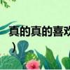 真的真的喜欢你韩剧大结局（真的真的喜欢你）