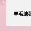 羊毛地毯可以水洗吗（羊毛地毯）