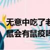 无意中吃了老鼠咬过的东西怎么办（一般的老鼠会有鼠疫吗）