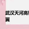 武汉天河高铁站亮相：犹如一只凤凰 六片羽翼