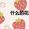 什么的花坛四字词语（什么的花坛）