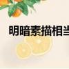 明暗素描相当于中国画的白描（明暗素描）