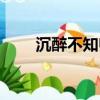 沉醉不知归路全诗（沉醉不知归路）