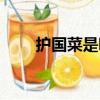 护国菜是哪里的名菜之一（护国菜）
