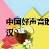 中国好声音耿斯汉是哪一季（中国好声音耿斯汉）