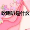 吹喇叭是什么意思怎么解释（吹喇叭是什么）
