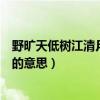 野旷天低树江清月近人的意思简短（野旷天低树江清月近人的意思）