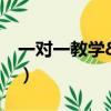 一对一教学&100教育（100教育一对一价格）