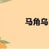 马角乌白是成语吗（马角乌白）