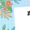 真笔画数（真笔画）