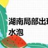 湖南局部出现大量“鸡公虫” 皮肤接触会长水泡