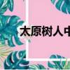 太原树人中学怎么样（太原树人中学）