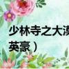 少林寺之大漠英豪电视连续剧（少林寺之大漠英豪）