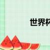世界杯英文名（世界杯英文）