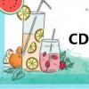 CDR基金会（cdr基金）