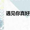 遇见你真好插曲民谣（遇见你真好插曲）