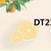 DT235耳机价格（dt235）