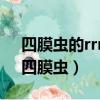 四膜虫的rrna前体具有催化活性又称作( )（四膜虫）