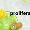 proliferate的名词（proliferated）