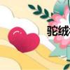 驼绒被怎么清洗（驼绒被）