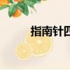 指南针四字成语（气指南针成语）