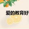爱的教育好词好句感悟（爱的教育好词）