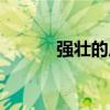 强壮的反义词（老实的反义词）