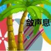 敛声息语的意思是什么（声息）