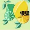 银狐动漫全集（银狐动漫）