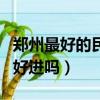 郑州最好的民办大学排名（郑州科技学院单招好进吗）