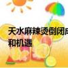 天水麻辣烫倒闭成网络流量密码：网络时代下创业者的挑战和机遇