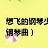 想飞的钢琴少年钢琴曲目有（想飞的钢琴少年钢琴曲）