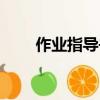 作业指导书英文缩写（作业指导书）