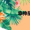 幸神星有几颗卫星（幸神星）