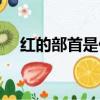 红的部首是什么部首（红的部首是什么）