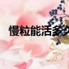 慢粒能活多久会不会传染（慢粒能活多久）