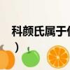 科颜氏属于什么档次?（科颜氏属于什么档次）