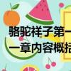 骆驼祥子第一章内容概括五十字（骆驼祥子第一章内容概括）