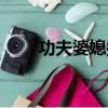功夫婆媳插曲大全（功夫婆媳插曲）