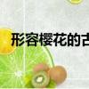 形容樱花的古文（形容樱花唯美古风短句）
