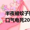 半夜被蚊子骚扰 男子开窗“诱敌深入”：一口气电死200多只