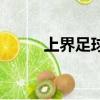 上界足球世界杯在哪举行（上界）